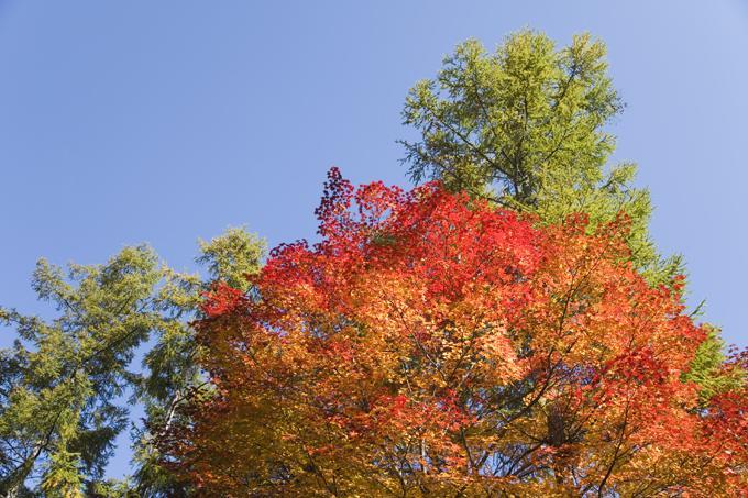Sundance Resort Tateshina 치노시 외부 사진